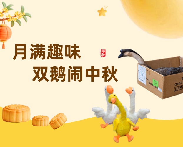 海鵬信“月滿趣味 · 雙鵝鬧中秋”活動(dòng)歡樂(lè)收官